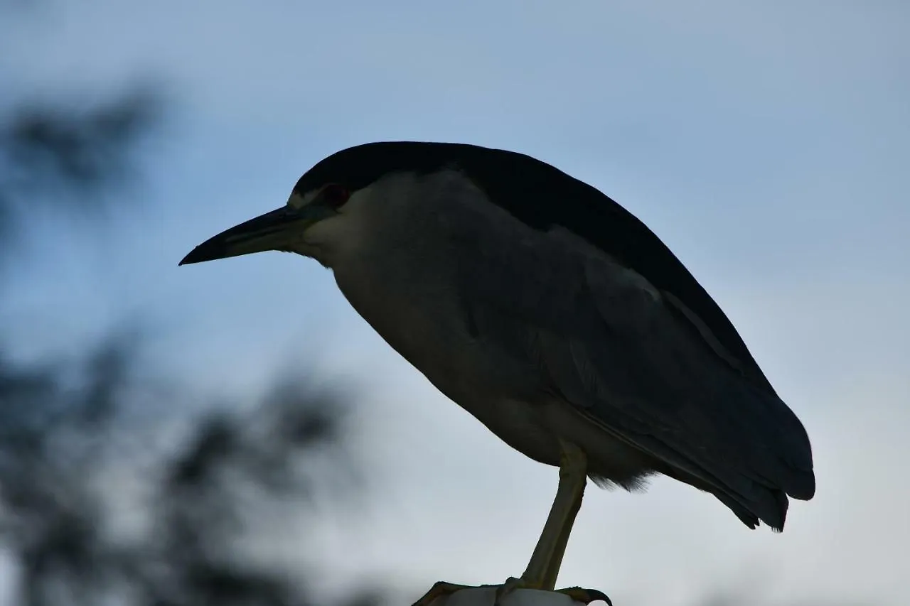 Pousada Barra Sul ラグーナ ブラジル